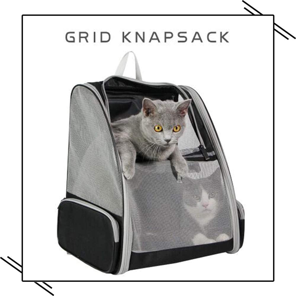 Pet Backpack Carrier for Small Cats Dogs | Ventilated Design, Safety Straps, Buckle Support, Collapsible | Designed for Travel, Hiking, Walking & Outdoor Use